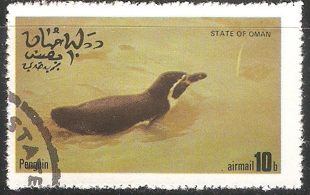 Penguin-pinguino