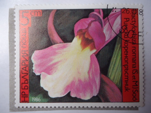 Flora: Orquídea (Yvert/Bu:2987)