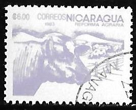 Nicaragua-cambio