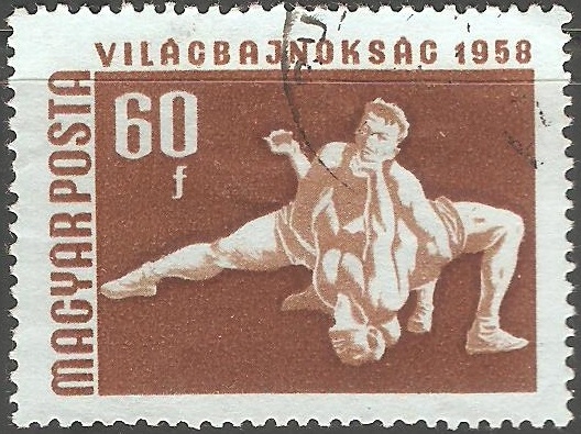 1958 Campeonato de Hungría internacionales y europeas, Budapest 