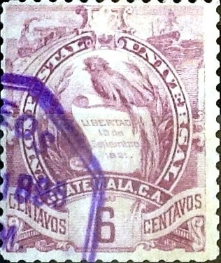 Intercambio 0,20 usd 6 cent. 1895