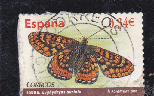 mariposa-  (22)