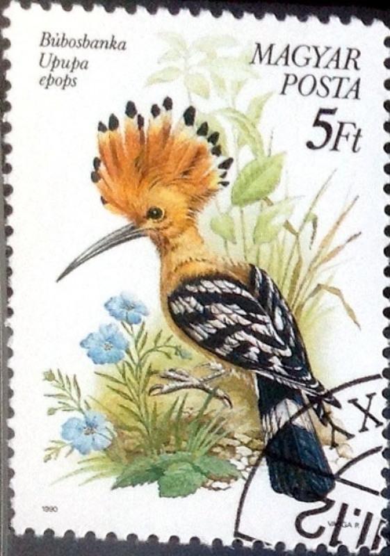 Intercambio 0,50 usd 2 ft. 1990