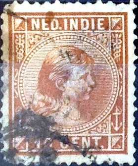 Intercambio crxf 0,20 usd 10 cent. 1895