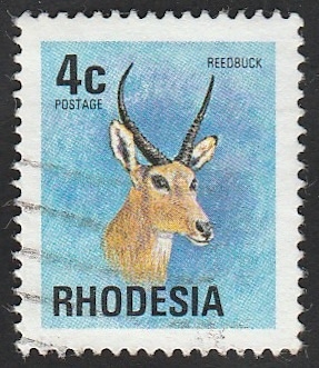 Rhodesia - Redunca arundinum