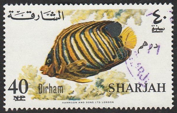 Sharjah - Pez pygoplites diacanthus