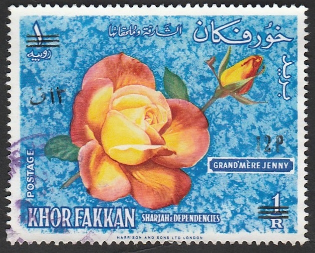 Khor Fakkan - una rosa