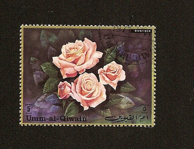 UMM-AL-QIWAIN  - Flores  -  Rosa  