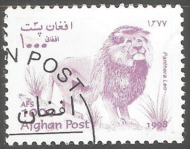 Panthera leo- leon
