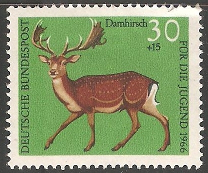Damhirsch-gamo común