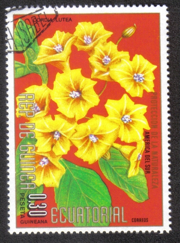 Flowers (II) South American