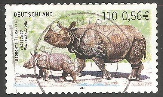 Panzernashorn-Rhinoceros unicornis