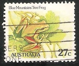 Blue mountains tree frog-rana de árbol 