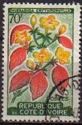 COSTA DE MARFIL COTE D'IVORE 1961 Yvert197 Sello Serie Flora mussaenda erythrophylla usado M-229