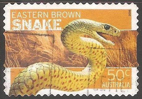 Snake-Serpiente