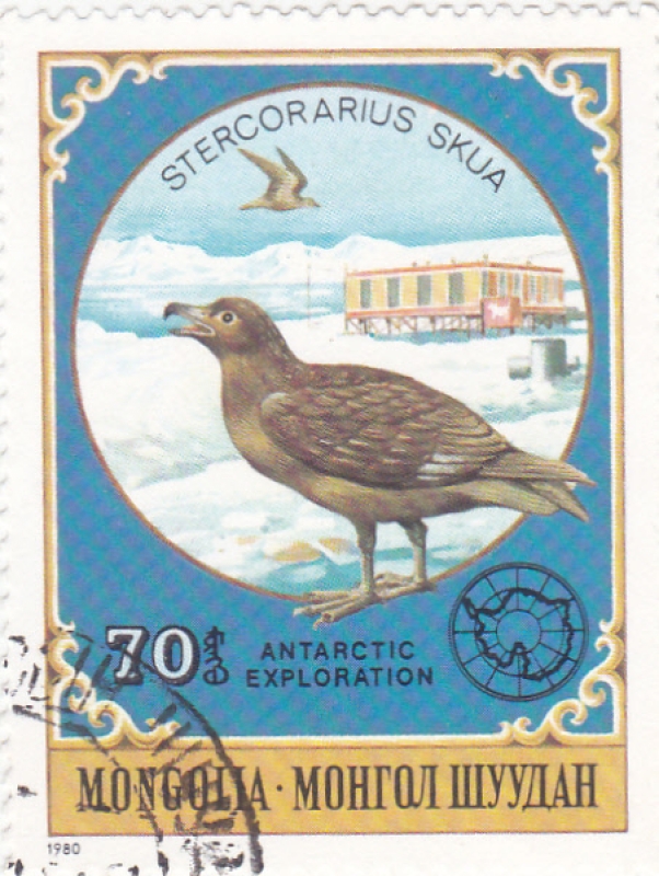 exploración antartica