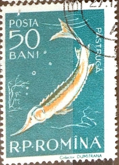 Intercambio 0,20 usd 50 b. 1957