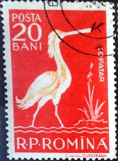Intercambio nfxb 0,20 usd 20 b. 1957