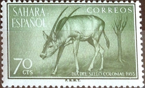 Intercambio jxi 0,25 usd 70 cent. 1955