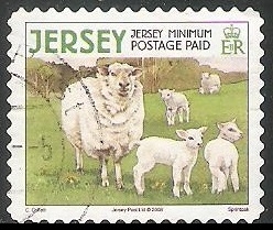 Jersey-ovejas
