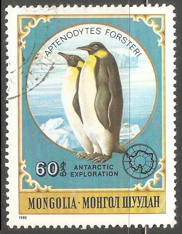 Aptenodytes forsteri-pingüino emperador