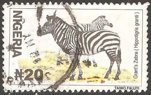 Hippotigris grantizebra