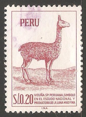 Vicuña