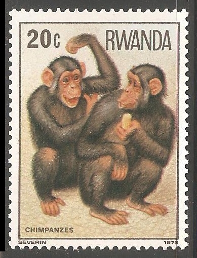 Chimpanzes