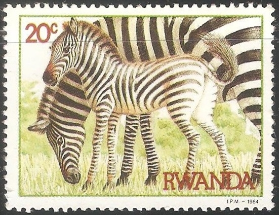 Zebras