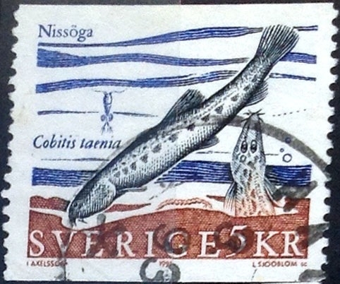 Intercambio 0,20 usd 5 krone 1991