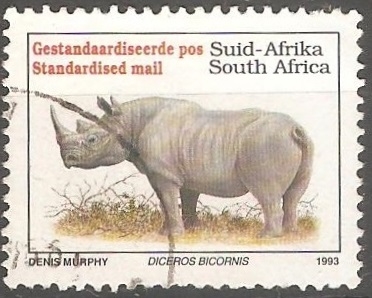 Diceros bicornis-rinoceronte negro 