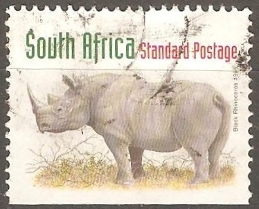  Black rhinoceros-Rinoceronte negro 