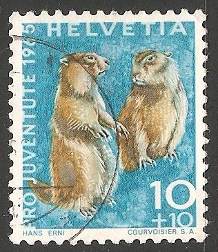 Pro juventude 1965- Alpine marmot-Marmota