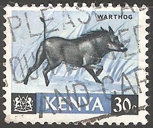Warthog-Jabalí Común 