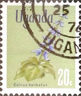 Intercambio 0,20 usd  20 cent. 1969