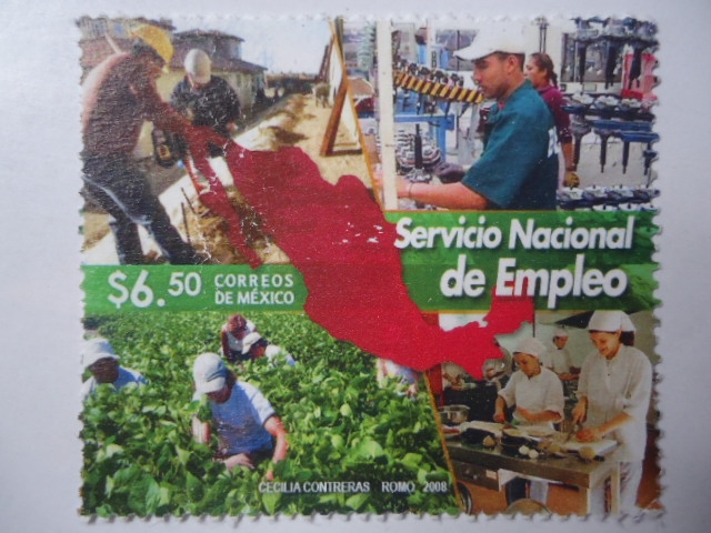 Servicio Nacional de Empleo.