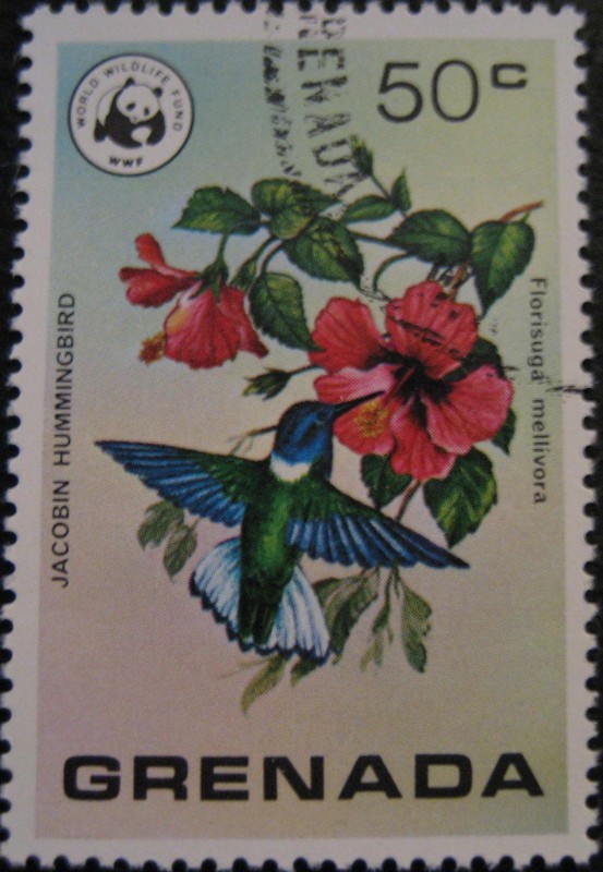 Wild Birds of Grenada and Wildlife Fund Emblem