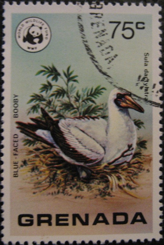 Wild Birds of Grenada and Wildlife Fund Emblem