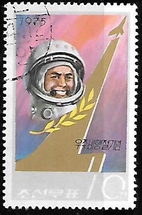 Día de la astronaútica, Cosmonauta