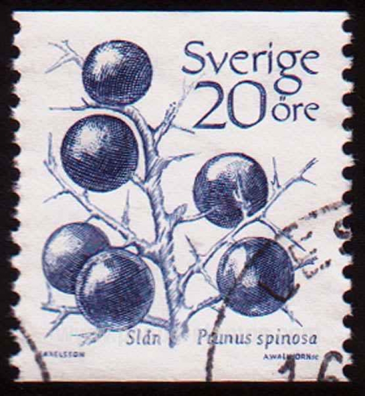 SG 1142