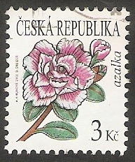 502 - Flor azalea