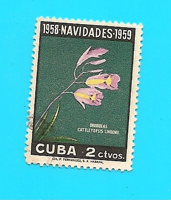 Navidad 58 - 59  Orquideas