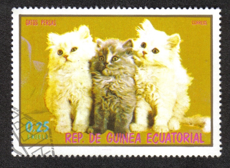 Cats,III-1976
