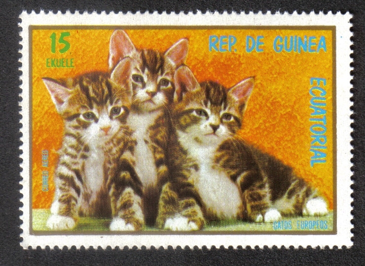 Cats,III-1976