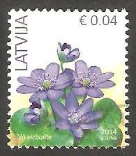 875 - Flor anemonas azules