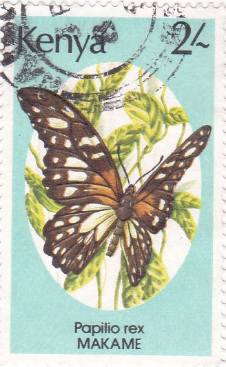 mariposa- 