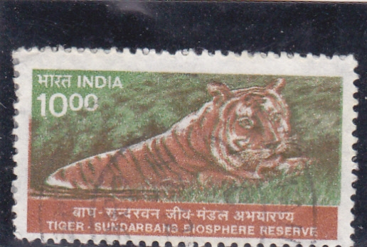 tigre de Bengala