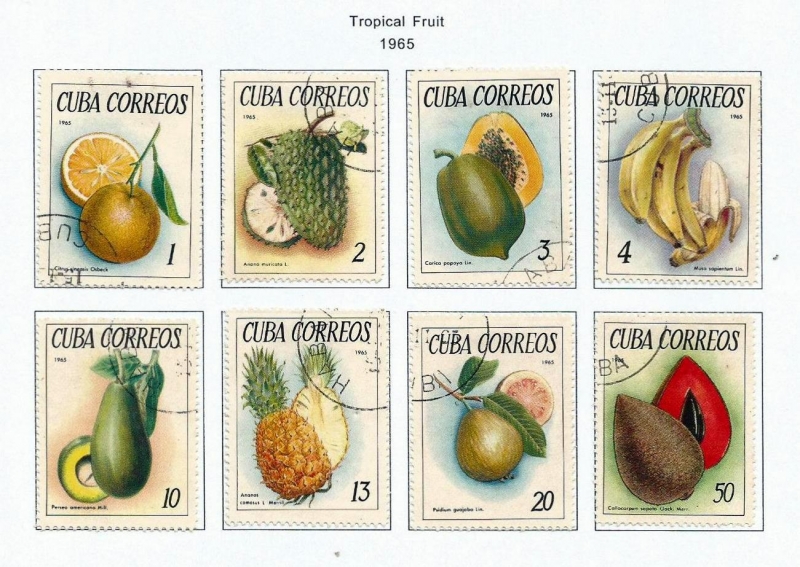 1083-1090 Frutas Tropicales