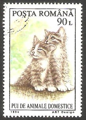 4217 - Gatos, animal doméstico
