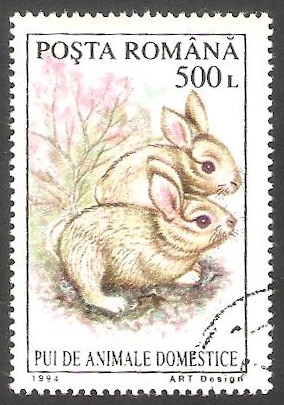 4221 - Conejos, animal doméstico
